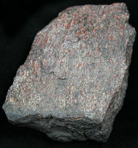 Red Agatized Dinosaur Bone - Ounces #25559